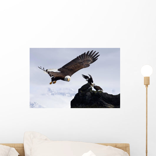 Bald Eagle Wall Mural