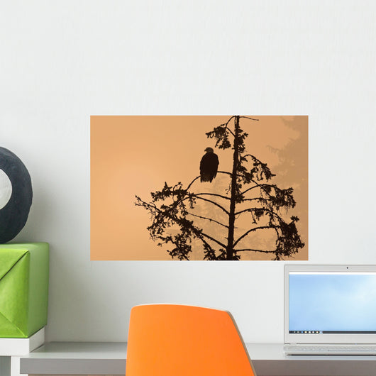 Silhouette Of A Bald Eagle Perched On A Tree At Sunset Wall Mural