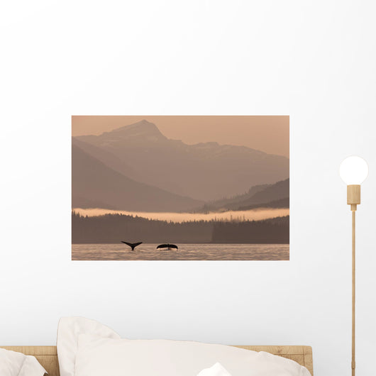 Humpback Whales Dive Showing Their Tails At Sunrise In Frederick Sound Wall Mural