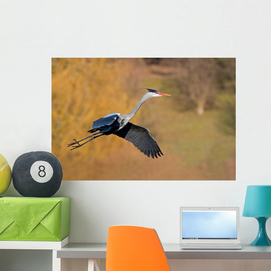Heron Wall Mural