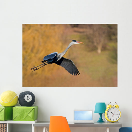Heron Wall Mural