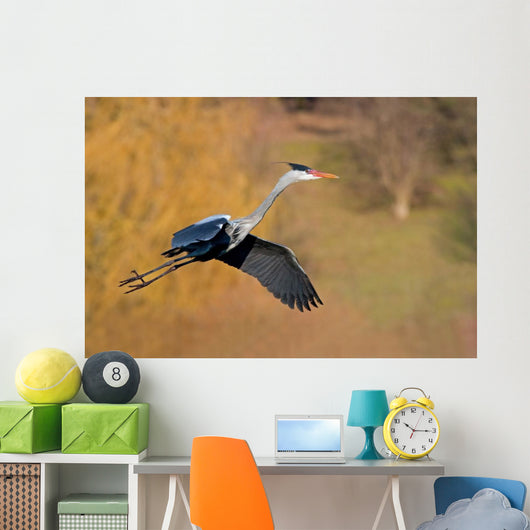 Heron Wall Mural