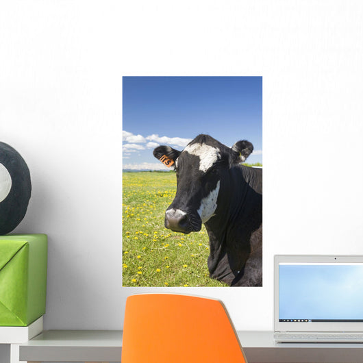 Close up of a cow's face Wall Mural