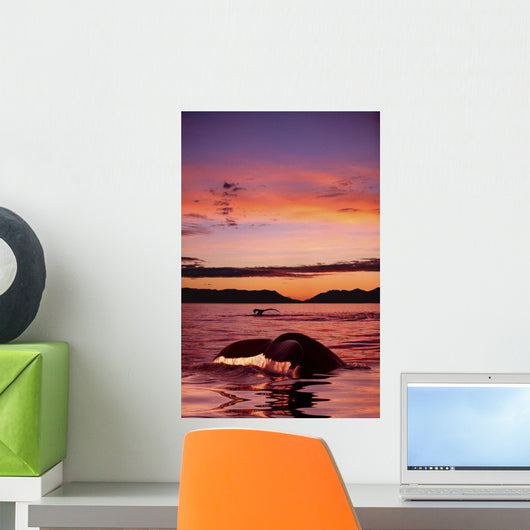 Digital Humpback Whale Tails At Sunset Wall Mural