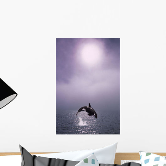 Orca Breaching In Fog Composite Alaska Southeast Wall Mural