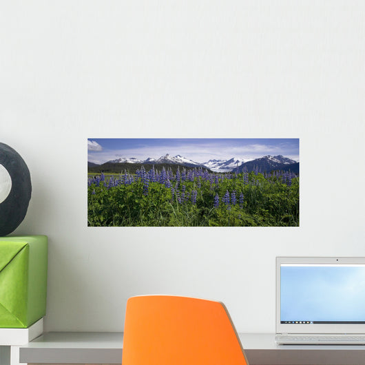 Lupine Blooms Wall Mural