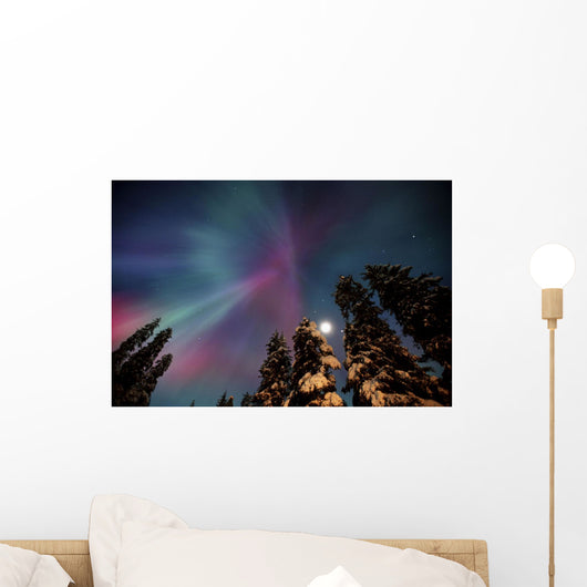 Aurora Corona & Moon Over Crow Creek Sc Alaska Winter Wall Mural