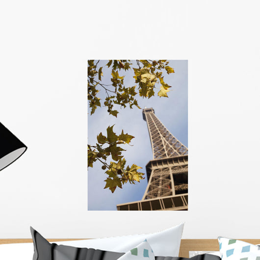France, park around of Eiffel Tower Wall Mural