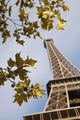 France, park around of Eiffel Tower Wall Mural