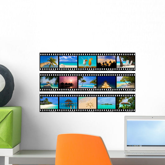 Frames Film Nature and