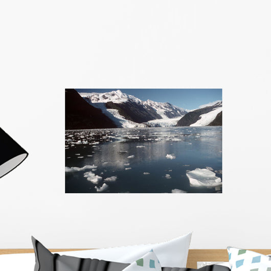 Cascade & Barry Glaciers Prince William Sound Ak Southcentral Wall Mural
