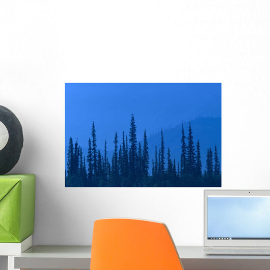 Spruce Trees In Haze From Forest Fire In Ak Summer/Nsouth Of Fairbanks Wall Mural