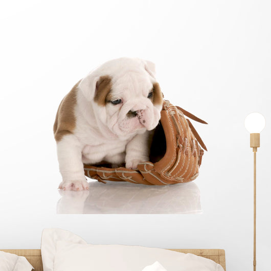 Puppy with Baseball Glove