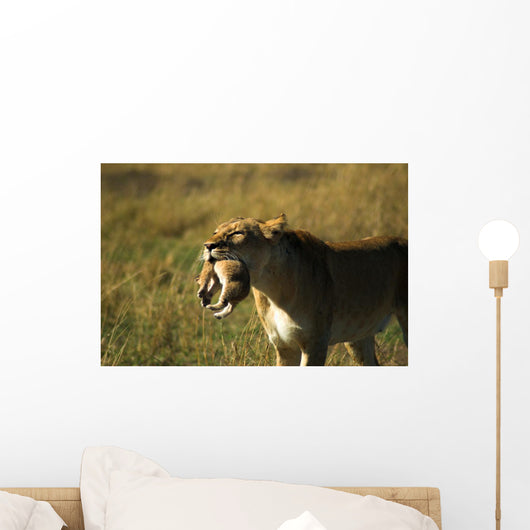 Lioness With Cub Wall Mural