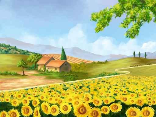 Sunflowers Field Wall Decal