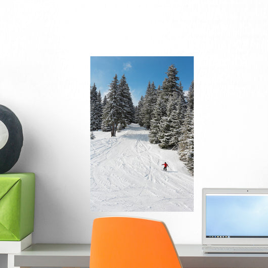 Snowboarder Wall Mural