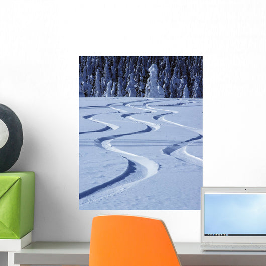 Tracks in Snow Wall Mural