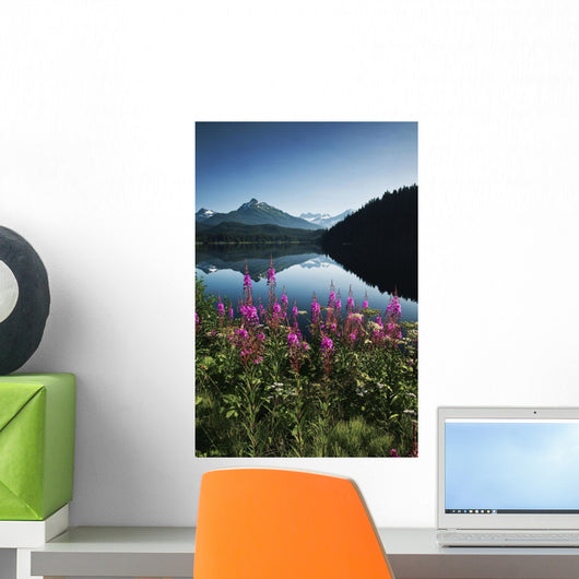 Scenic View Of Auke Lake On A Clear Day With Fireweed Wall Mural