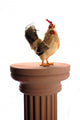 Chicken King