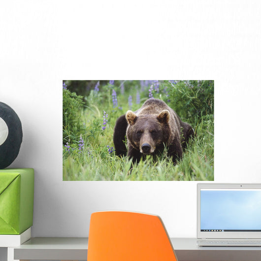 Captive Wall Mural