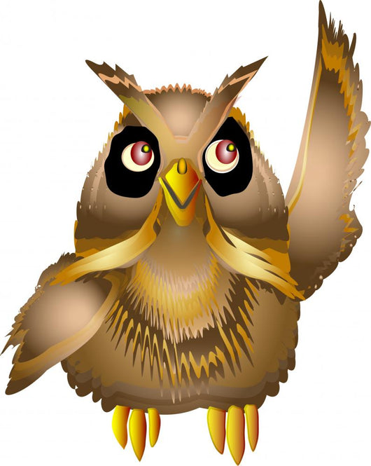 Owl Wall Decal