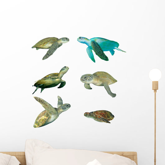 Six Sea Turtles Wall Decal Sticker Set
