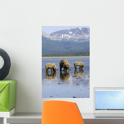 Brown Bears Digging Clams Wall Mural