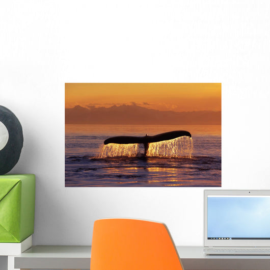 Humpback Whale Fluke @ Sunset Inside Passage Se Ak Summer Wall Mural