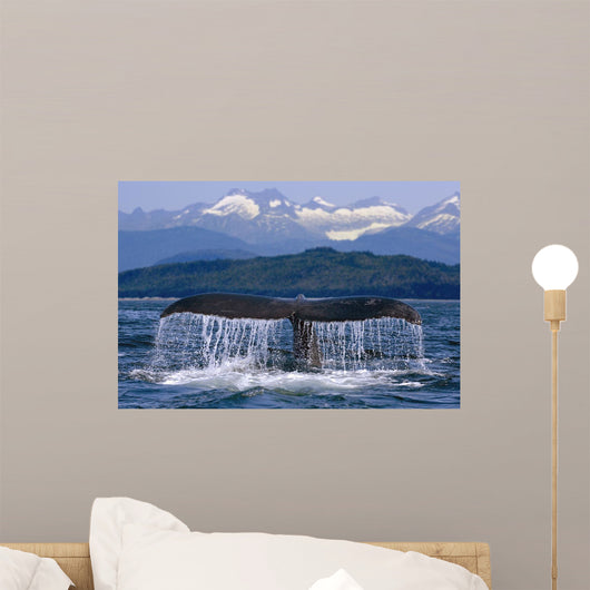Humpback Whale Tail Wall Mural