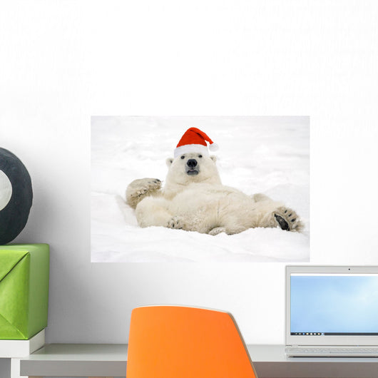 Polar Bear Wearing Santa Hat Lying On Its Back In Snow At Churchill Wall Mural