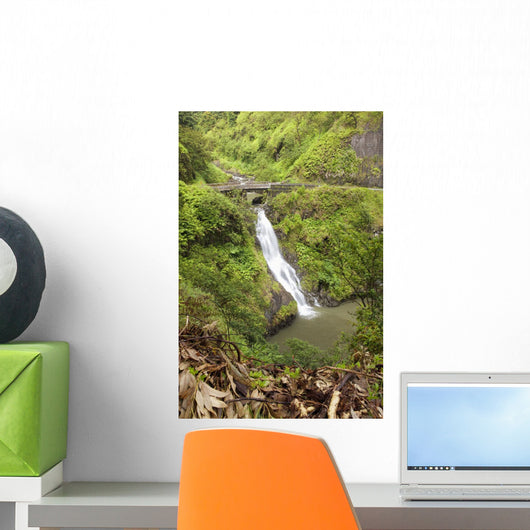 Wailua Falls beaneath a bridge along the road to Hana Wall Mural