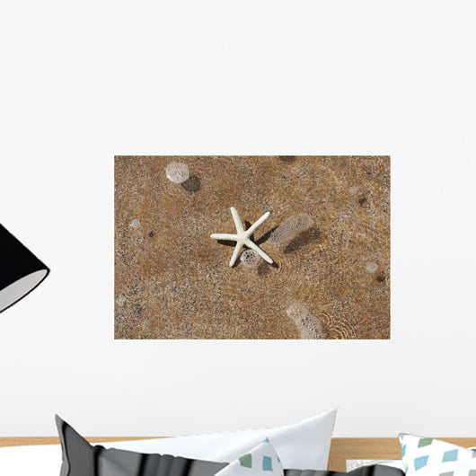 Hawaii, Maui, Makena, A starfish washes ashore Wall Mural