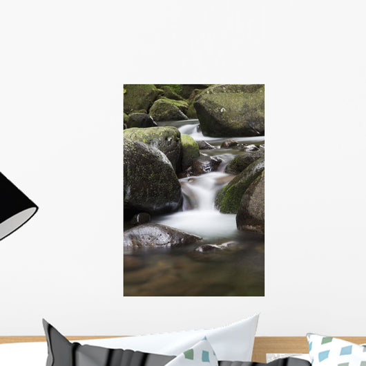 Hawaii, Maui, Iao River Valley waterfall Wall Mural