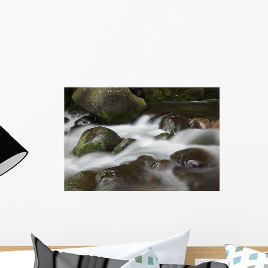 Hawaii, Maui, Iao River Valley waterfall Wall Mural