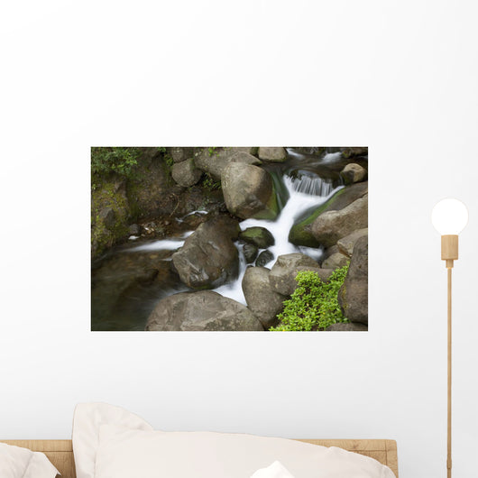 Hawaii, Maui, Iao River Valley waterfall Wall Mural