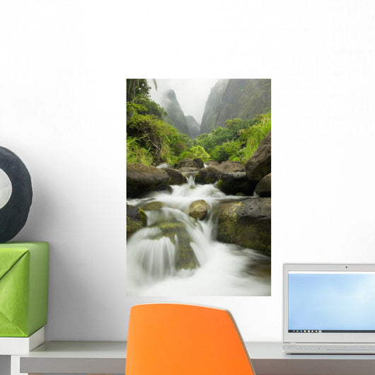 Hawaii, Maui, Iao River Valley waterfall Wall Mural