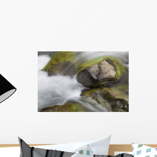 A close up of colorful river rocks under water Wall Mural
