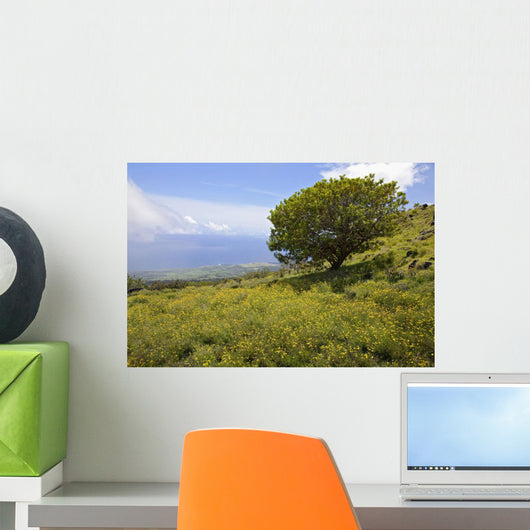 Hawaii, Maui, Lush foliage and tree in Kaupo Gap Wall Mural
