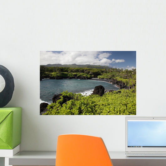Hawaii, Maui, Black sand beach of Waianapanapa Wall Mural