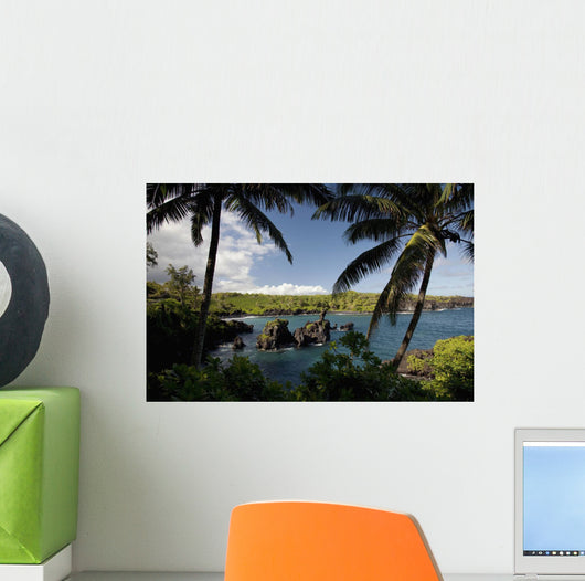 Hawaii, Maui, A sunny view of Waianapanapa from behind palm trees Wall Mural