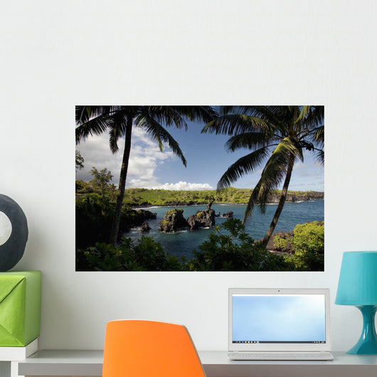 Hawaii, Maui, A sunny view of Waianapanapa from behind palm trees Wall Mural