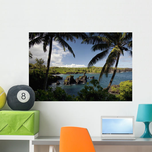 Hawaii, Maui, A sunny view of Waianapanapa from behind palm trees Wall Mural