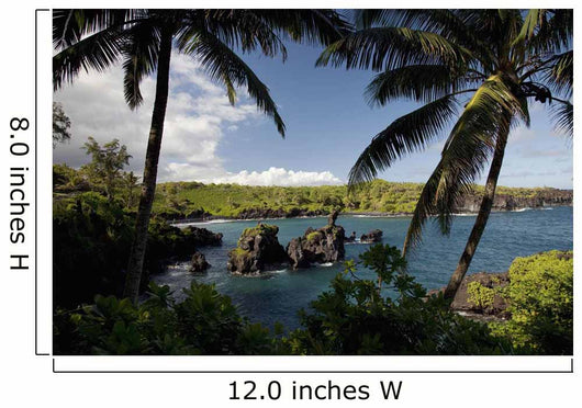 Hawaii, Maui, A sunny view of Waianapanapa from behind palm trees Wall Mural