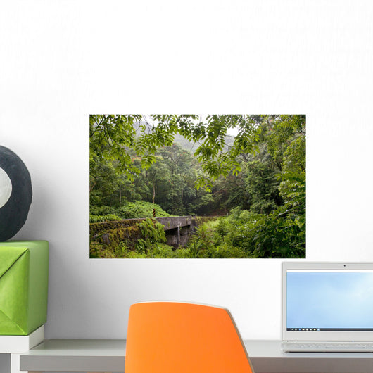 Hawaii, Maui, The lush Road To Hana Wall Mural
