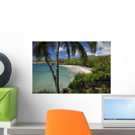A sunny view of Hamoa Beach with clear ocean on a calm day Wall Mural