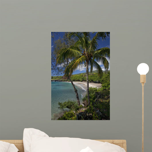 A sunny view of Hamoa Beach with clear ocean on a calm day Wall Mural
