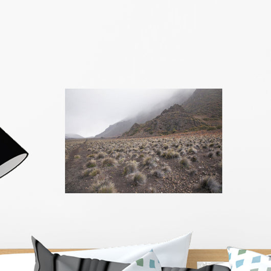 Hawaii, Maui, Haleakala, The hiking trail through the Volcanic Crater Wall Mural