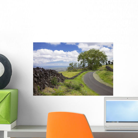 A stone wall lines a country road with views of Maui in the background Wall Mural