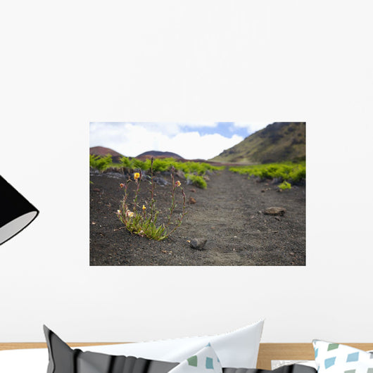 Hawaii, Maui, Haleakala, The hiking trail through the Volcanic Crater Wall Mural