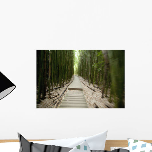 Trail through bamboo forest on the Pipiwai trail Wall Mural